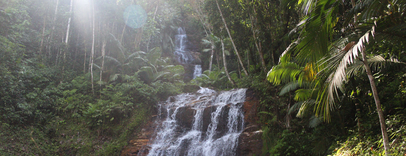 Cachoeira em Blumenau, Santa Catarina
