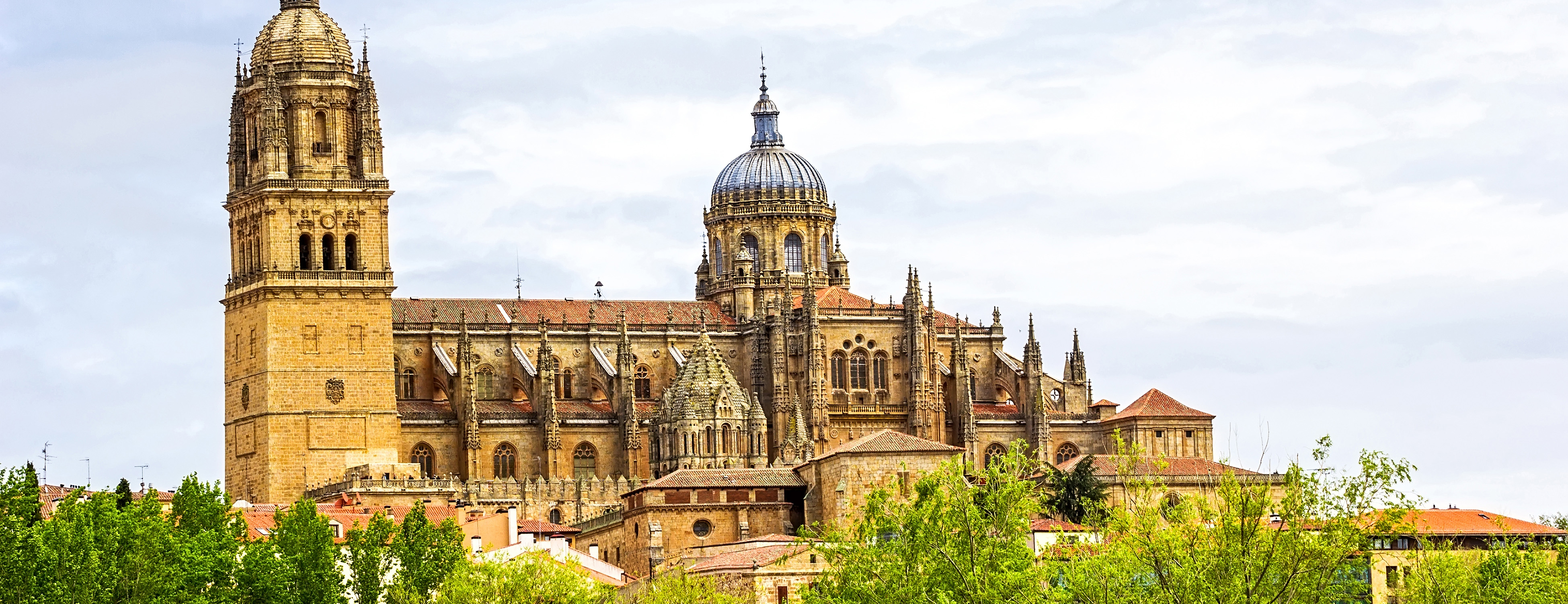 La Catedral de Salamanca